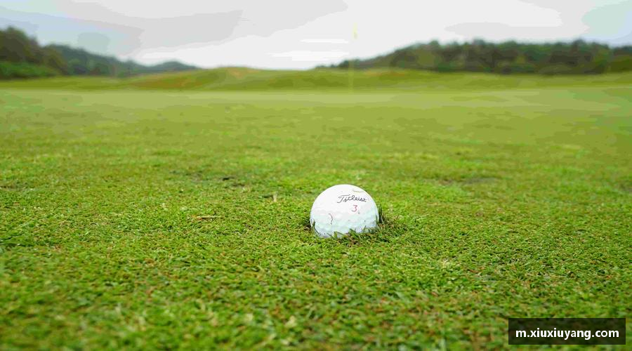 追求卓越，创造传奇！